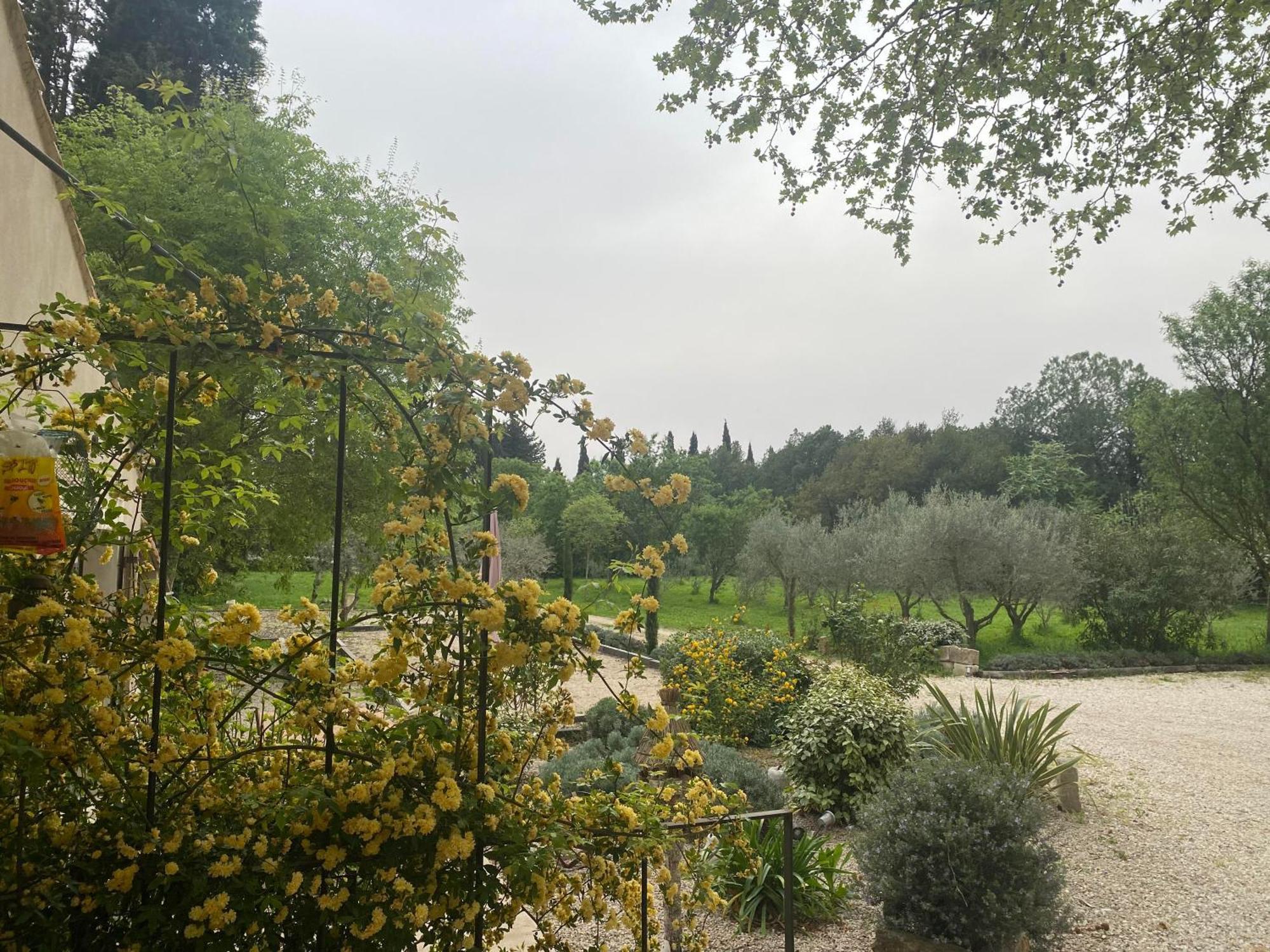 Gite du Mas de la Finière Châteaurenard Esterno foto